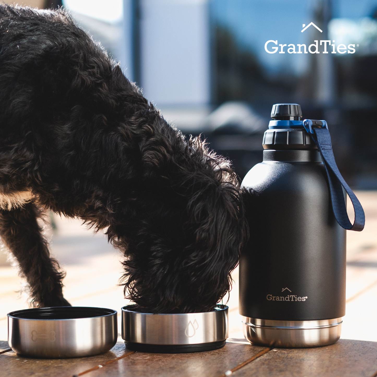 Insulated Stainless Steel Water Bottle with Two Detachable Bowls for Dogs and Pets| 32oz/950ml - GrandTies