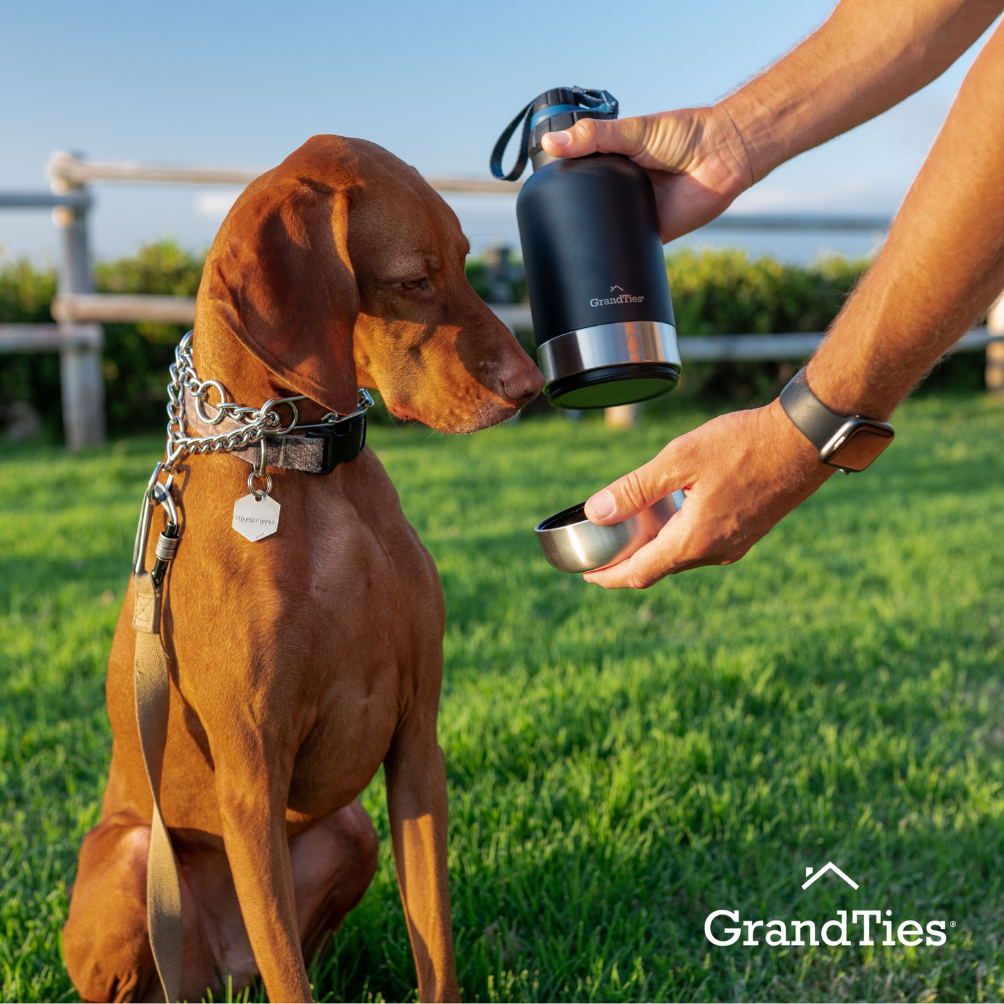 Insulated Stainless Steel Water Bottle with Two Detachable Bowls for Dogs and Pets| 32oz/950ml - GrandTies