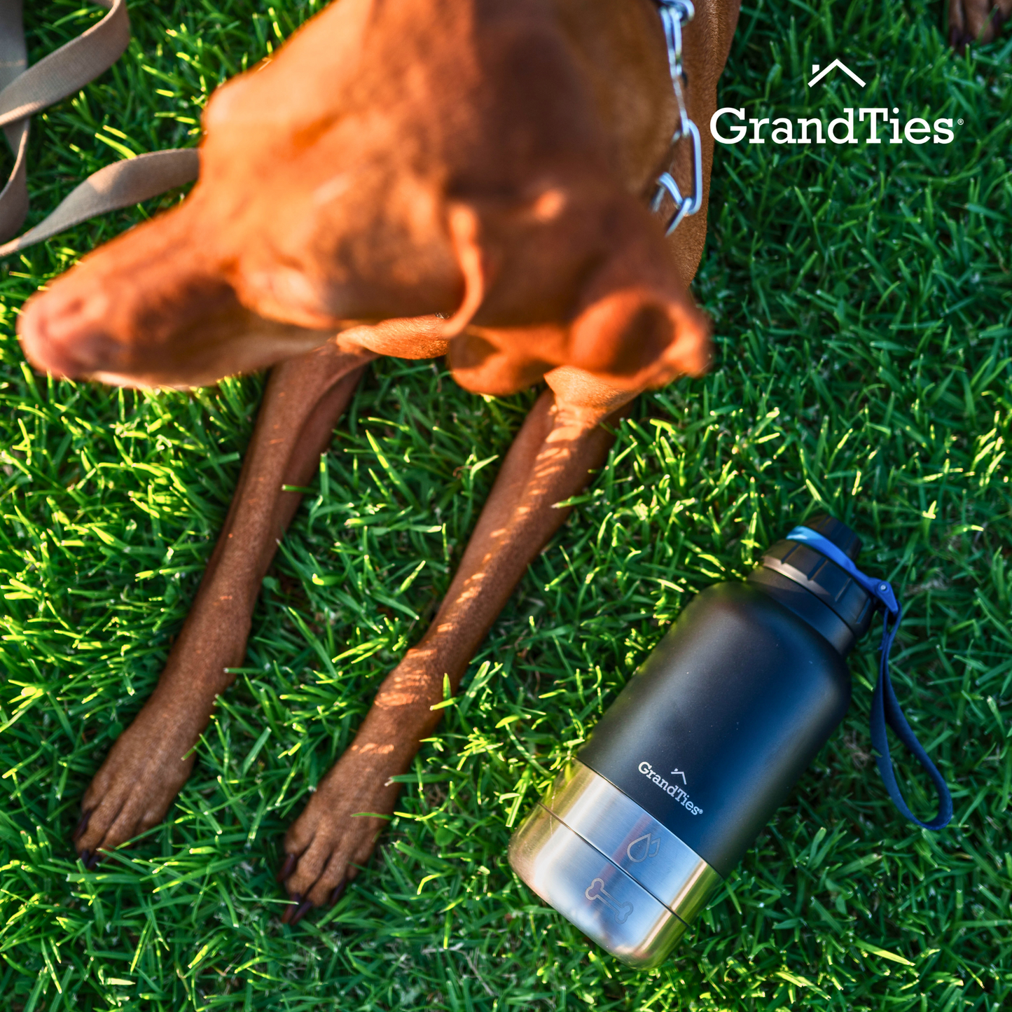 Insulated Stainless Steel Water Bottle with Two Detachable Bowls for Dogs and Pets| 32oz/950ml - GrandTies