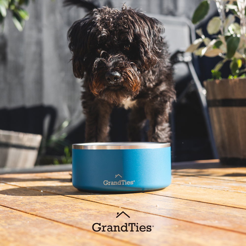 Insulated Stainless Steel Pet Bowl | Engraved | 42oz/1250ml/5 Cups - Grandties