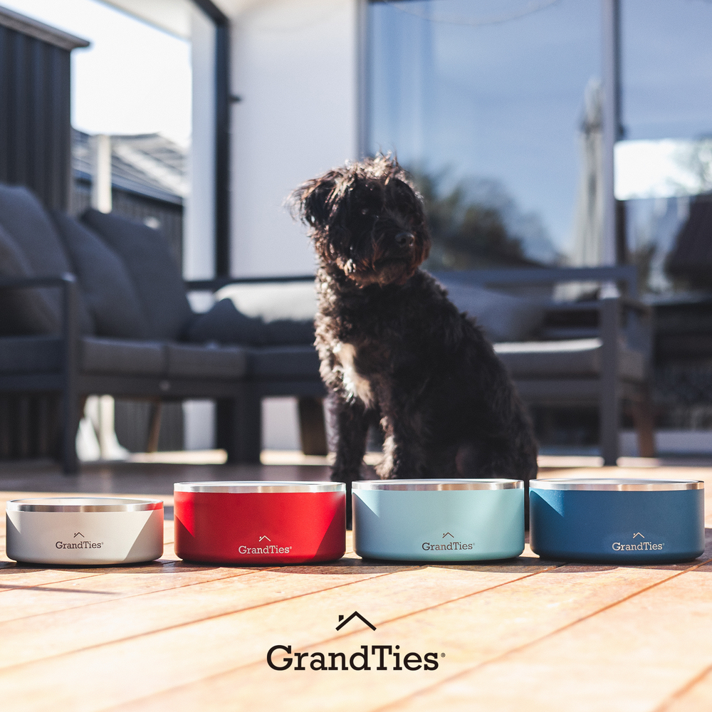 Insulated Stainless Steel Pet Bowl | Engraved | 64oz/1890ml/8 Cups