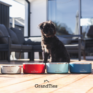 Insulated Stainless Steel Pet Bowl | Engraved | 42oz/1250ml/5 Cups - Grandties