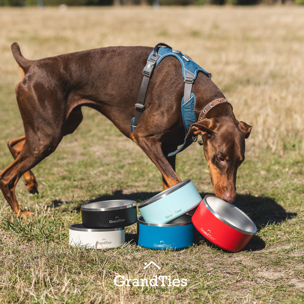 Insulated Stainless Steel Pet Bowl | Engraved | 42oz/1250ml/5 Cups - Grandties