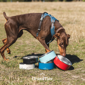 Insulated Stainless Steel Pet Bowl | Engraved | 64oz/1890ml/8 Cups