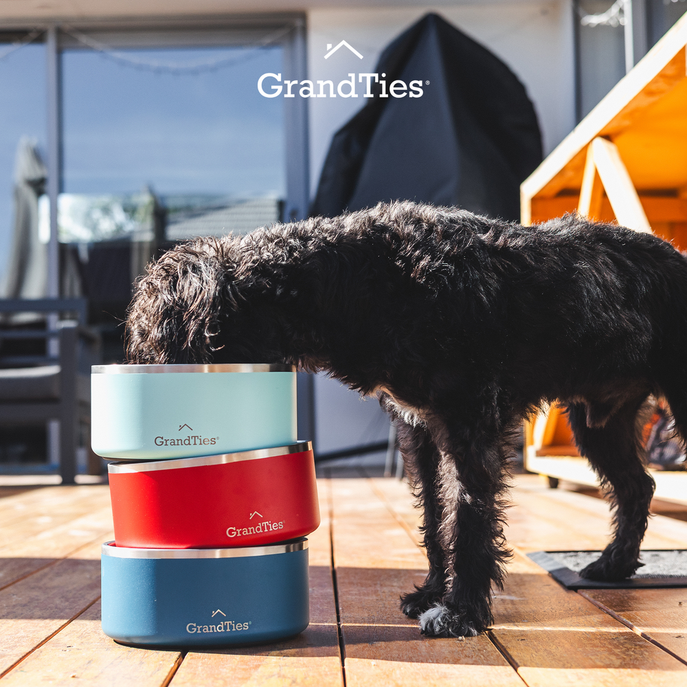 Insulated Stainless Steel Pet Bowl | Engraved | 42oz/1250ml/5 Cups - Grandties