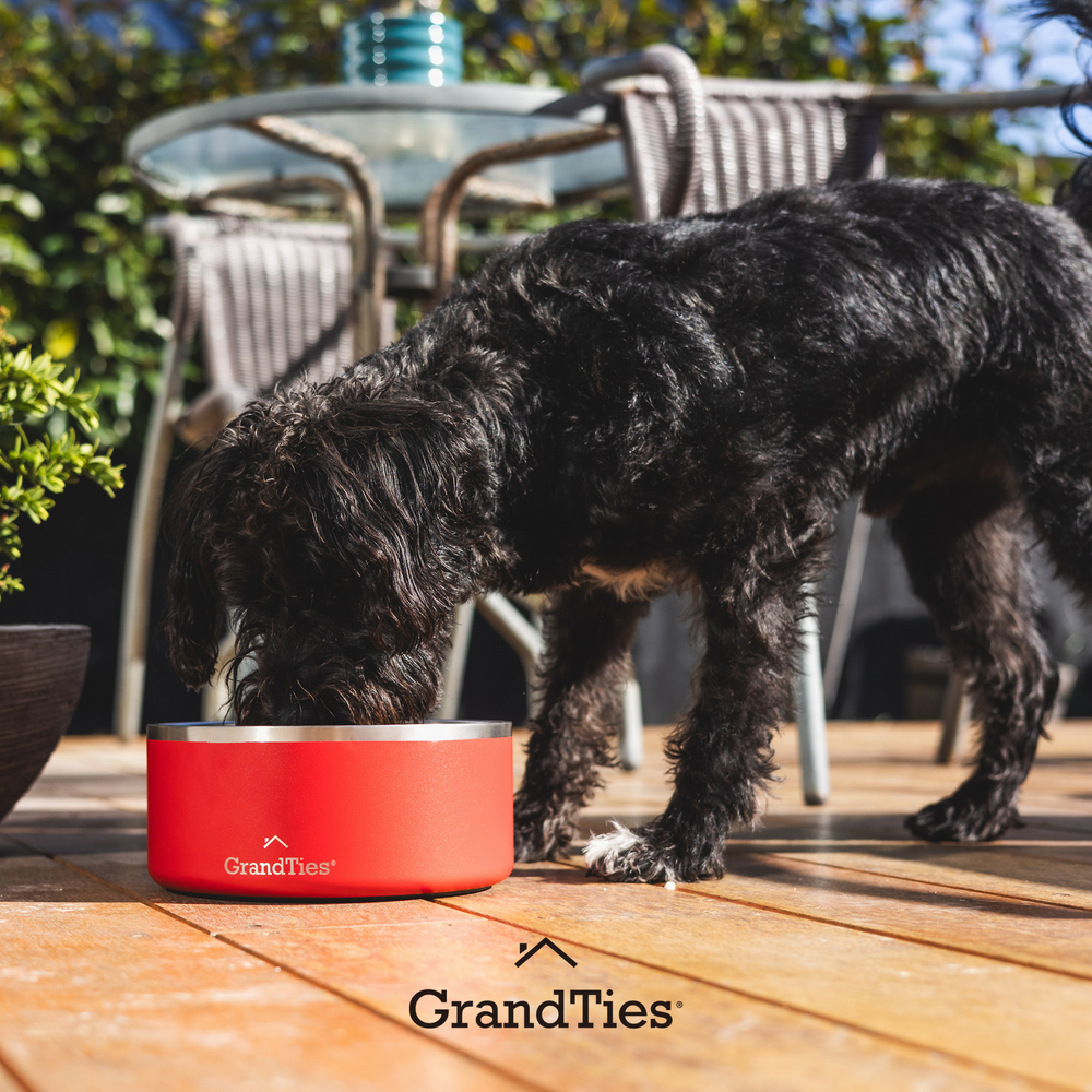 Insulated Stainless Steel Pet Bowl | Engraved | 64oz/1890ml/8 Cups