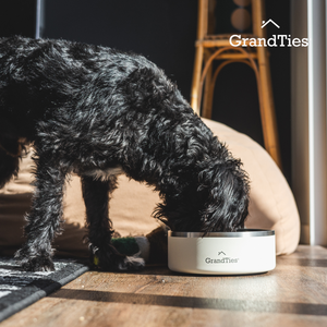 Insulated Stainless Steel Pet Bowl | Engraved | 42oz/1250ml/5 Cups - Grandties
