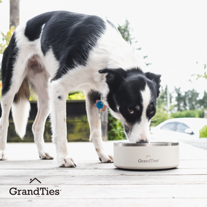 Insulated Stainless Steel Pet Bowl | Engraved | 64oz/1890ml/8 Cups