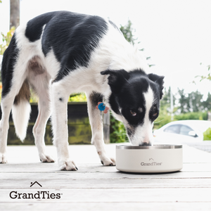 Insulated Stainless Steel Pet Bowl | Engraved | 42oz/1250ml/5 Cups - Grandties