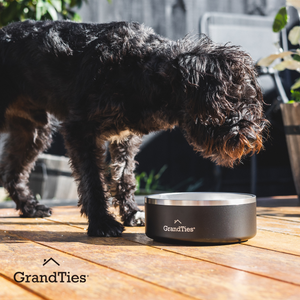 Insulated Stainless Steel Pet Bowl | Engraved | 64oz/1890ml/8 Cups