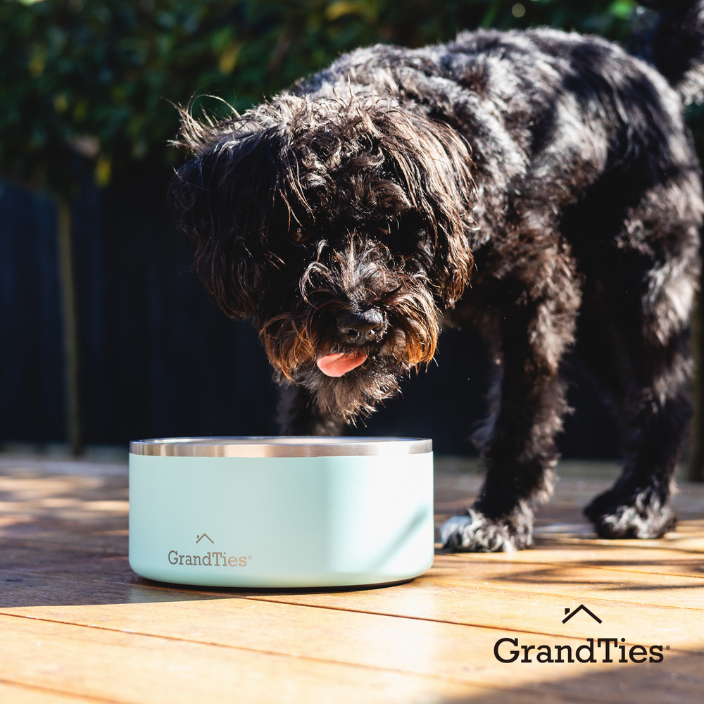 Insulated Stainless Steel Pet Bowl | Engraved | 42oz/1250ml/5 Cups - Grandties