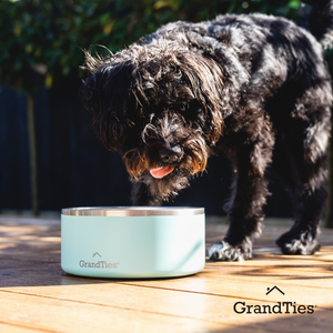 Insulated Stainless Steel Pet Bowl | Engraved | 42oz/1250ml/5 Cups - Grandties