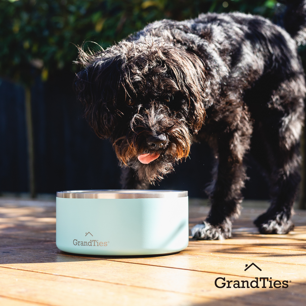 Insulated Stainless Steel Pet Bowl | Engraved | 64oz/1890ml/8 Cups