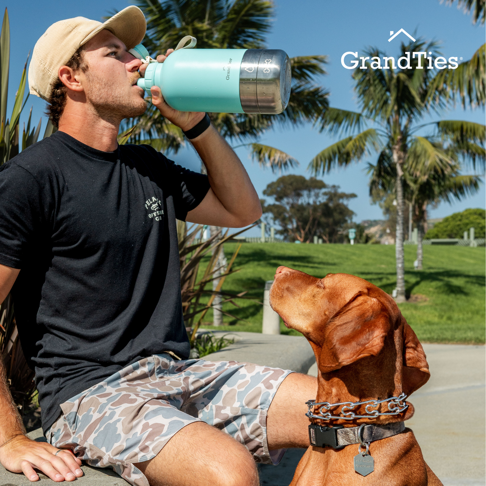 Insulated dog water bottle hotsell