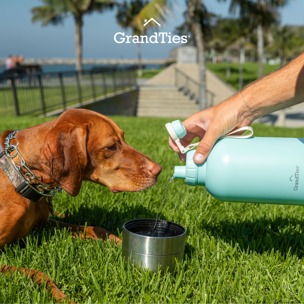 Messy Mutts Stainless Travel Water Bottle & Bowl Blue