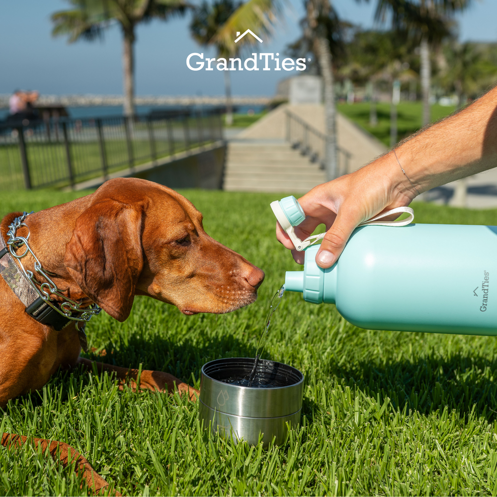 Insulated Stainless Steel Water Bottle with Two Detachable Pet Bowls | 32oz/950ml - Grandties