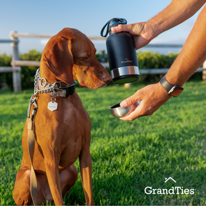 Insulated Stainless Steel Water Bottle with Two Detachable Bowls for Dogs and Pets| 64oz/1890ml - GrandTies