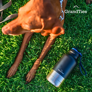 Insulated Stainless Steel Water Bottle with Two Detachable Bowls for Dogs and Pets| 64oz/1890ml - GrandTies