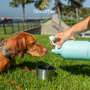 Insulated Stainless Steel Water Bottle with Two Detachable Pet Bowls | 64oz/1890ml - Grandties