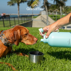 Insulated Stainless Steel Water Bottle with Two Detachable Bowls for Dogs and Pets| 64oz/1890ml - GrandTies