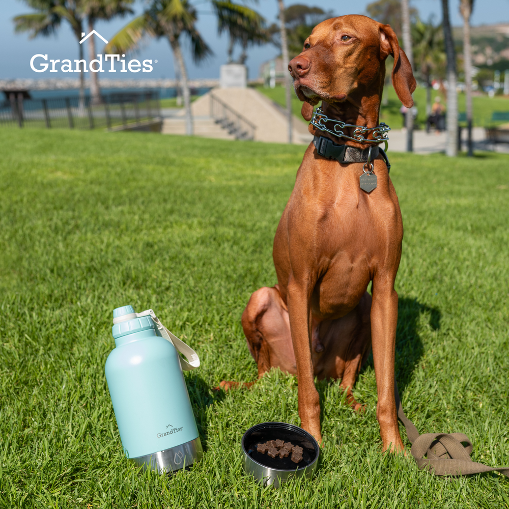 Insulated Stainless Steel Water Bottle with Two Detachable Pet Bowls | 64oz/1890ml - Grandties