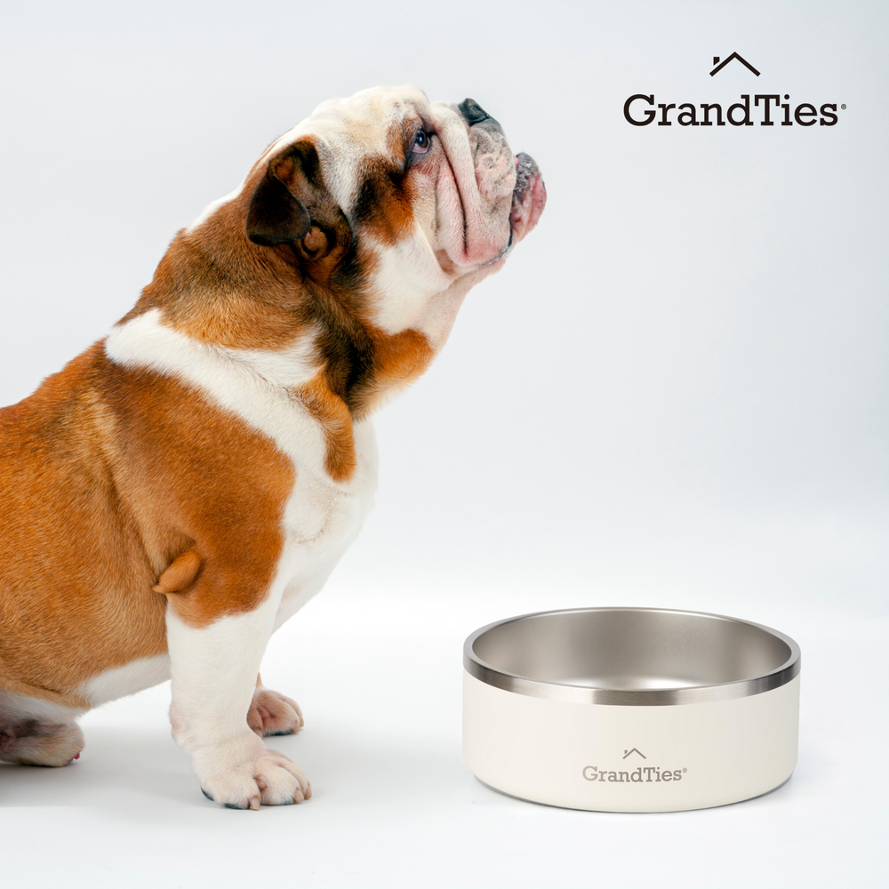 Insulated Stainless Steel Pet Bowl | Engraved | 42oz/1250ml/5 Cups - Grandties