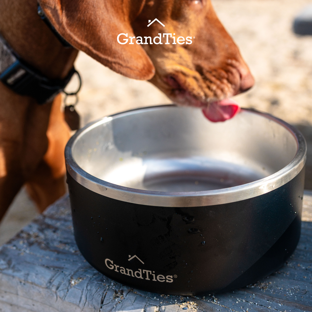 Insulated Stainless Steel Pet Bowl | Engraved | 64oz/1890ml/8 Cups - Grandties