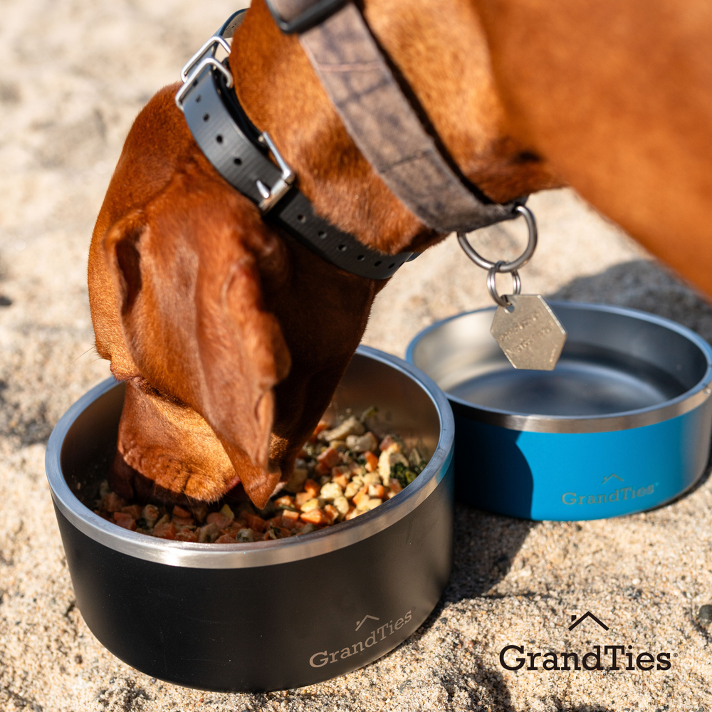 Insulated Stainless Steel Pet Bowl | Engraved | 42oz/1250ml/5 Cups - Grandties