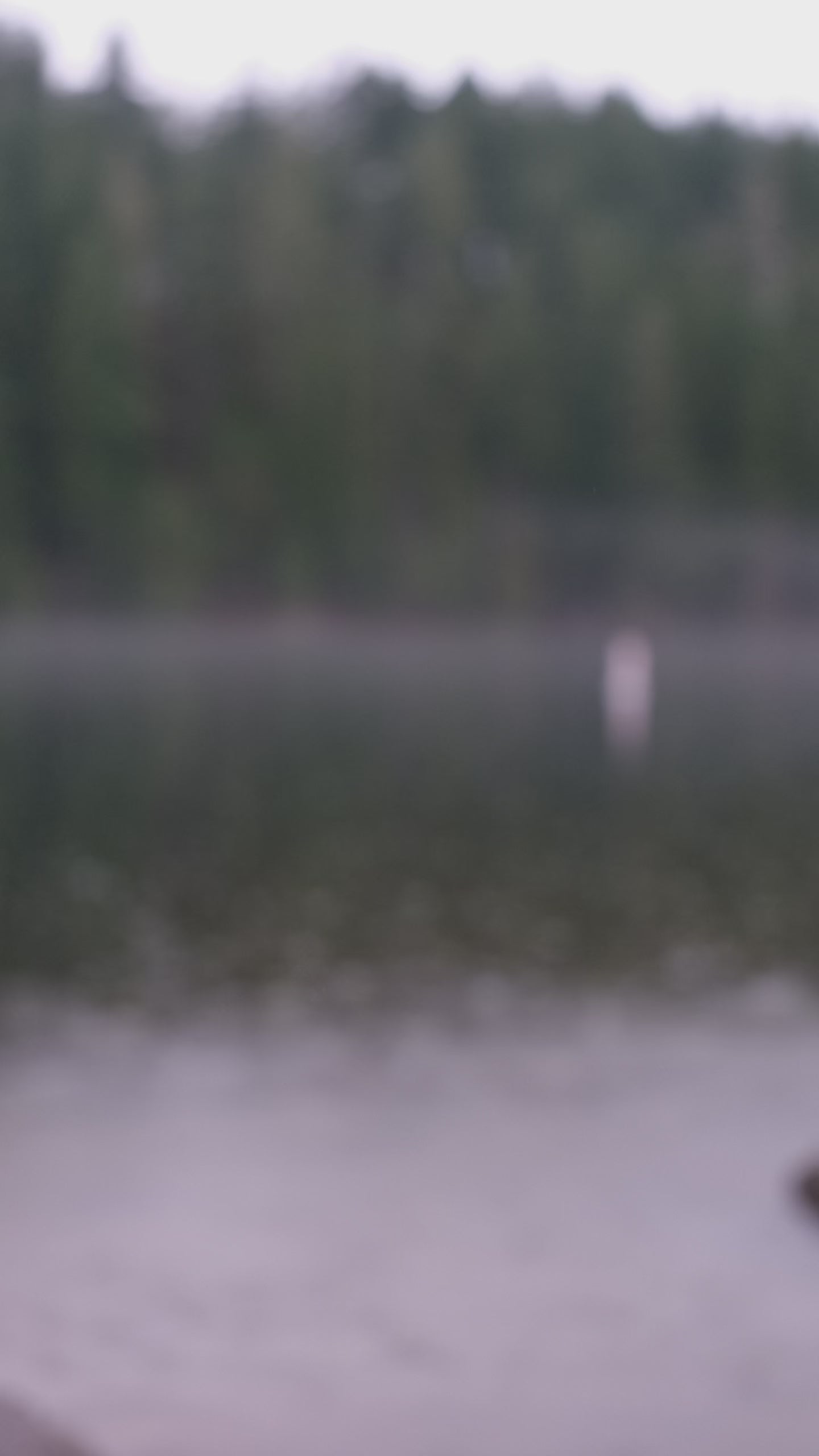 Insulated Food Jar | Size: 20oz